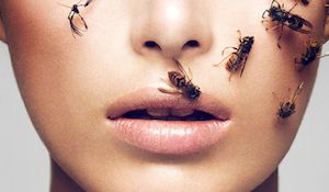 Bee Venom Creating Buzz in the Beauty World